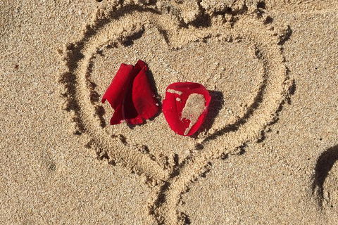 Elope In Paradise - Weddings At Mission Beach - Accommodation Newcastle 3