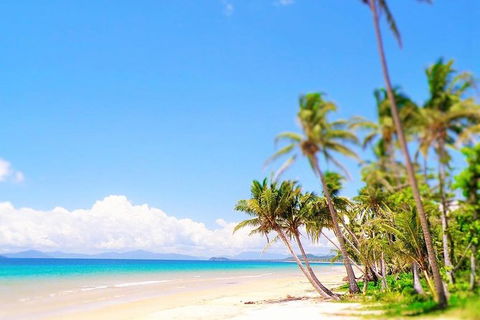Airport Transfer - Cairns Airport To Mission Beach - Accommodation Newcastle 1