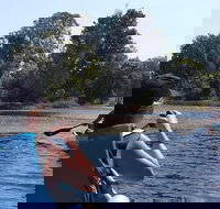 Noosa Hinterland Scenic Canoe  FAT Bike Tour - Accommodation Newcastle