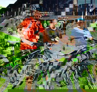 eMtn Bike  Brewery Day Tour - Accommodation Newcastle