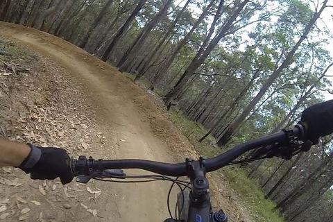 EMtn Bike + Brewery Day Tour - Accommodation Newcastle 2