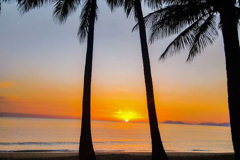 Private Transfers - Cairns Airport To Palm Cove - Accommodation Newcastle 9