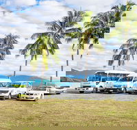 Private Transfers - Cairns Airport to Palm Cove - Accommodation Newcastle