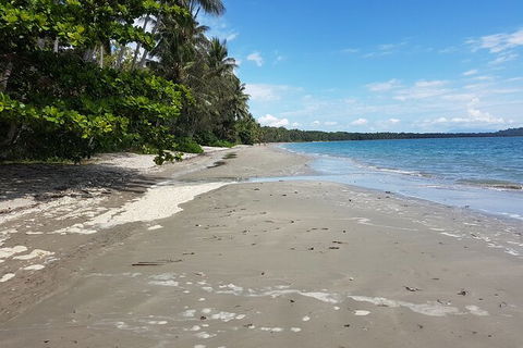 Private Transfers - Cairns Airport To Palm Cove - Accommodation Newcastle 1