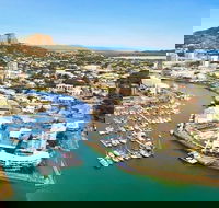 Explore Townsville 7 Hour Guided River Mountain and City Tour - Accommodation Newcastle