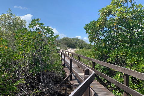 Hinchinbrook Island Tour - Accommodation Newcastle 4