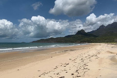 Hinchinbrook Island Tour - Accommodation Newcastle 3