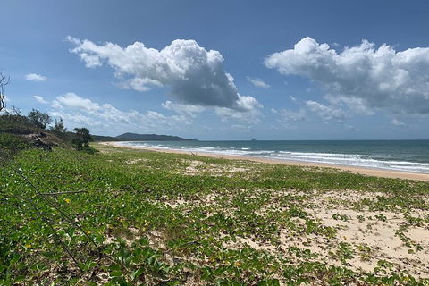 Hinchinbrook Island Tour - Accommodation Newcastle 5