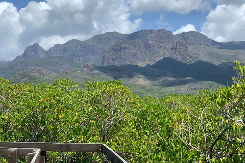 Hinchinbrook Island Tour - Accommodation Newcastle 0