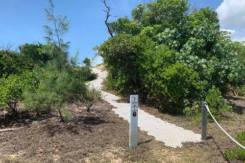 Hinchinbrook Island Tour - Accommodation Newcastle 1