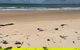 Hinchinbrook Island Tour - thumb 6