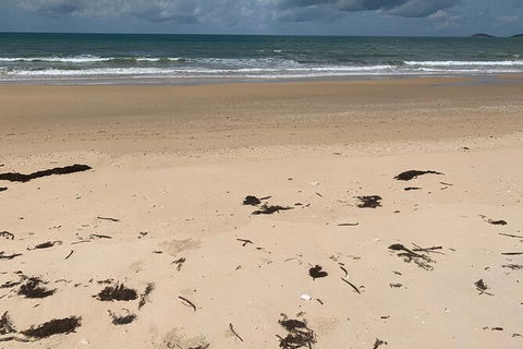 Hinchinbrook Island Tour - Accommodation Newcastle 6