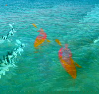 1 Hour Single or Double Kayak Rental to the Nth Bribie Island - Accommodation Newcastle