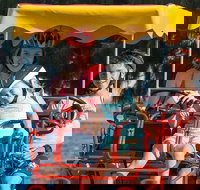 Unique 4 Wheeler Surrey Bike Rental - Accommodation Newcastle