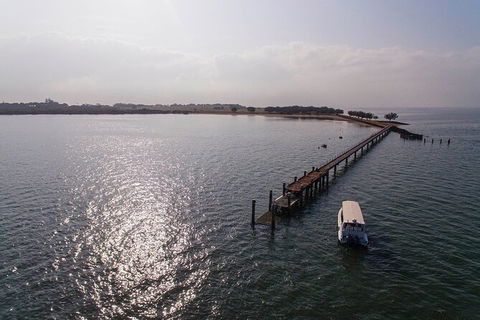Half Day St. Helena Island Tour - Accommodation Newcastle 4