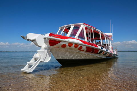 Half Day St. Helena Island Tour - Accommodation Newcastle 3
