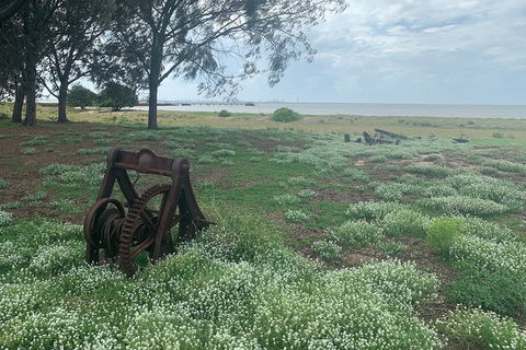 Half Day St. Helena Island Tour - Accommodation Newcastle 1