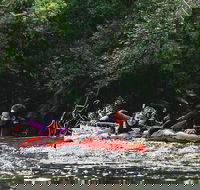 Mossman Gorge Adventure Day - Accommodation Newcastle