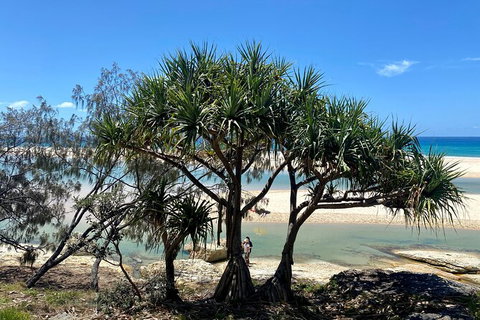 Full-Day Small Group Tour To North Stradbroke Island - Accommodation Newcastle 6