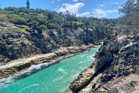 Full-Day Small Group Tour To North Stradbroke Island - Accommodation Newcastle 1