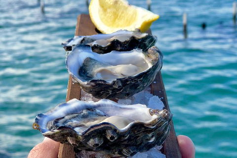 Coffin Bay Oysters, Ocean & Nature Tour - Accommodation Newcastle 0