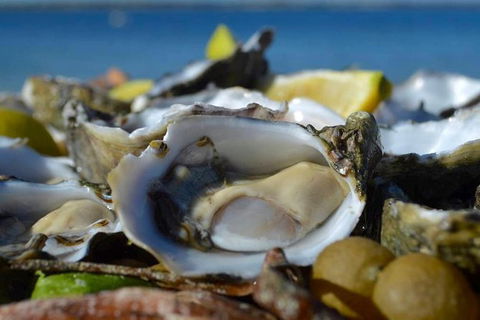 Coffin Bay Oysters, Ocean & Nature Tour - Accommodation Newcastle 8