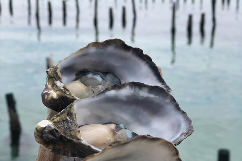 Coffin Bay Oysters, Ocean & Nature Tour - Accommodation Newcastle 6