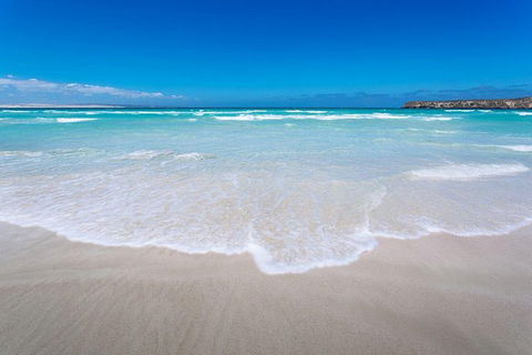 Coffin Bay Oysters, Ocean & Nature Tour - Accommodation Newcastle 14