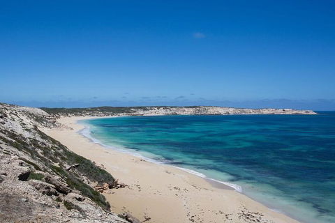 Coffin Bay Oysters, Ocean & Nature Tour - Accommodation Newcastle 16