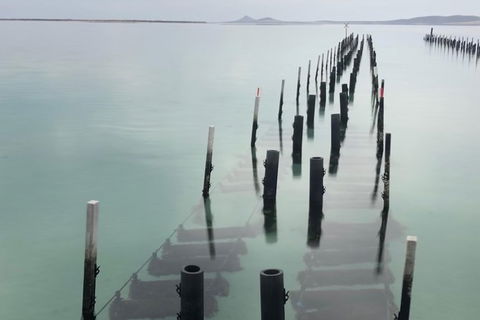 Coffin Bay Oysters, Ocean & Nature Tour - Accommodation Newcastle 15