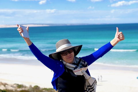 Coffin Bay Oysters, Ocean & Nature Tour - Accommodation Newcastle 11
