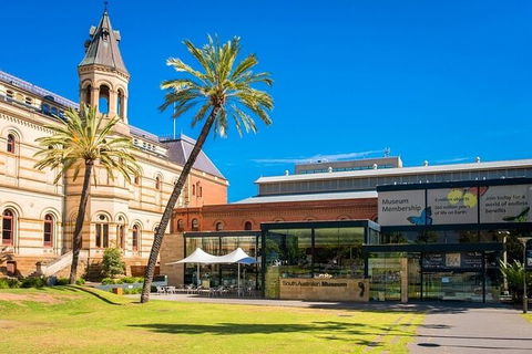 Departure Private Transfers: Adelaide To Adelaide Airport ADL In Luxury Van - Accommodation Newcastle 5