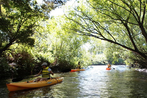 Paddle With The Platypus Twilight Kayak Adventure - Accommodation Newcastle 0