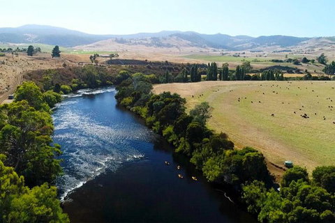 Paddle With The Platypus Twilight Kayak Adventure - Accommodation Newcastle 6