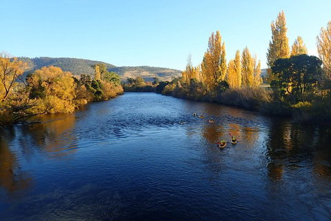 Paddle With The Platypus Twilight Kayak Adventure - Accommodation Newcastle 3