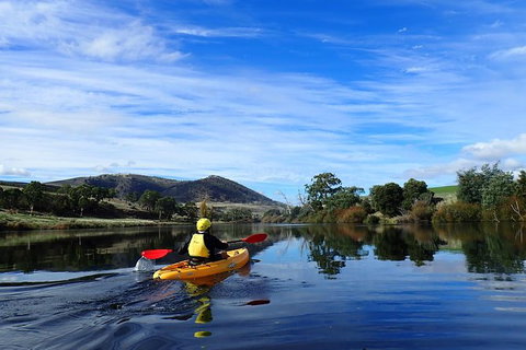 Paddle With The Platypus Twilight Kayak Adventure - Accommodation Newcastle 5