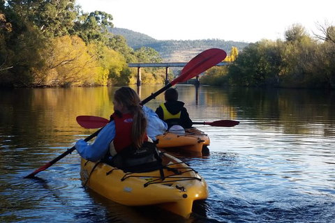 Paddle With The Platypus Twilight Kayak Adventure - Accommodation Newcastle 1