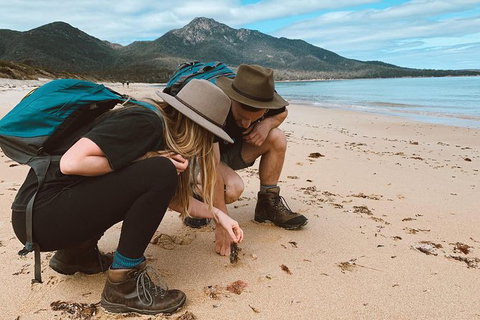 Freycinet Walking Tour - Accommodation Newcastle 0