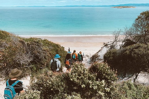 Freycinet Walking Tour - Accommodation Newcastle 2
