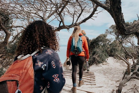 Freycinet Walking Tour - Accommodation Newcastle 6