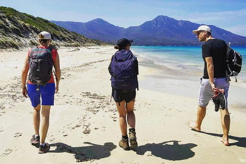 Freycinet Walking Tour - Accommodation Newcastle 1