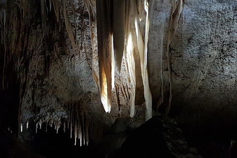 Shore Excursion: Coast, Caves And Wildlife Park - 8 Hour Tour - Accommodation Newcastle 10
