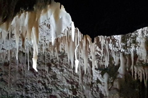 Shore Excursion: Coast, Caves And Wildlife Park - 8 Hour Tour - Accommodation Newcastle 21