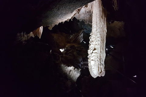 Shore Excursion: Coast, Caves And Wildlife Park - 8 Hour Tour - Accommodation Newcastle 12