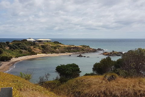 Shore Excursion: Coast, Caves And Wildlife Park - 8 Hour Tour - Accommodation Newcastle 0