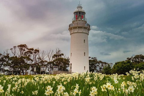 Table Cape Lighthouse Tours - Accommodation Newcastle 7