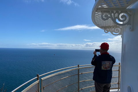 Table Cape Lighthouse Tours - Accommodation Newcastle 5