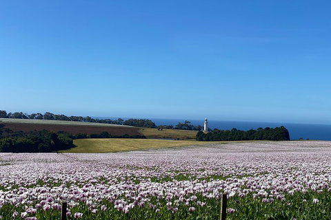 Table Cape Lighthouse Tours - Accommodation Newcastle 8