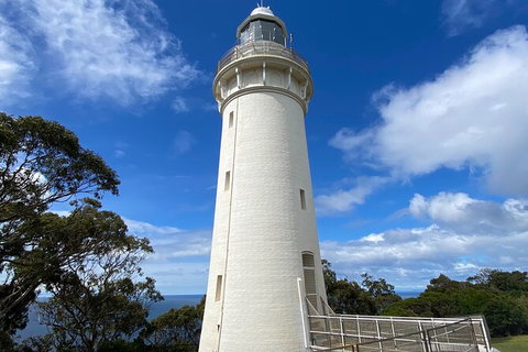 Table Cape Lighthouse Tours - Accommodation Newcastle 4