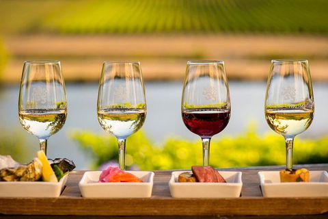 Launceston Wine & Sightseeing Tours - Accommodation Newcastle 4